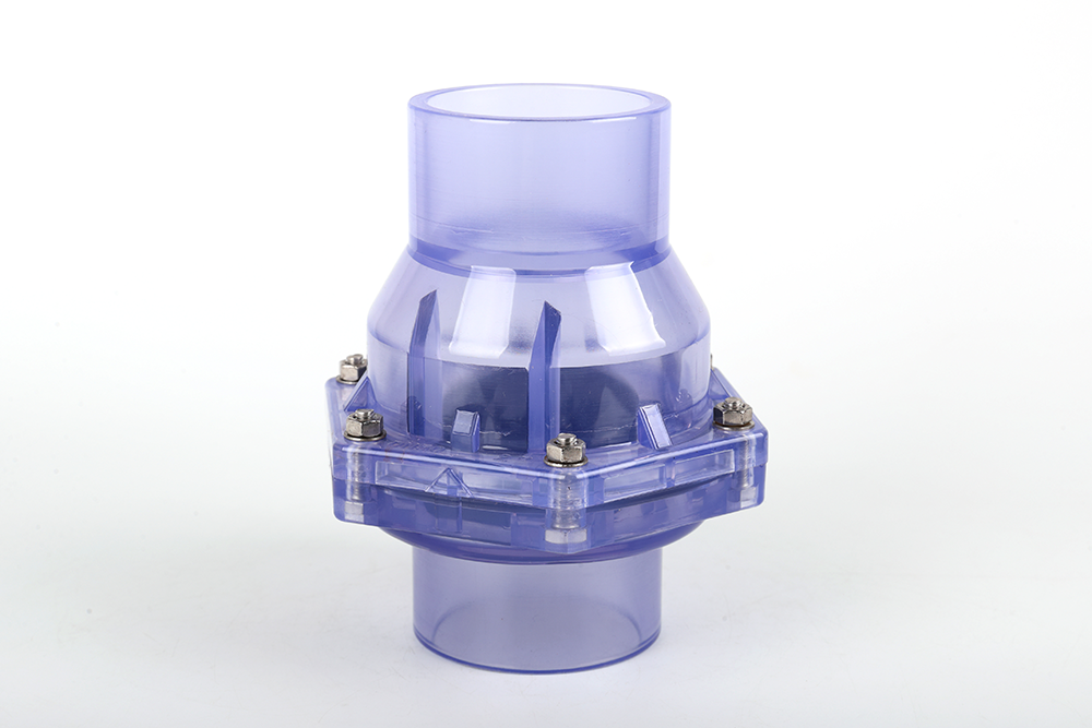 平果透明翻板式止回阀